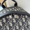 692f11874ecd253cf1078d48 Dior Men's Backpack