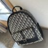 692f11874ecd253cf1078d49 Dior Men's Backpack