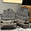 692f119b4ecd253cf1078d76 Dior Men's Backpack