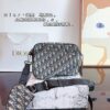 692f11a24ecd253cf1078d86 Dior Saddle Bag Homme - A Bold Fusion of Streetwear and Luxury