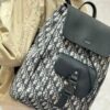 Dior Men's New Heavyweight Vintage Print Backpack