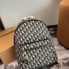 692f12064ecd253cf1078e49 Dior Men's Backpack