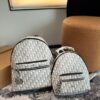 692f12094ecd253cf1078e4e Dior Men's Backpack