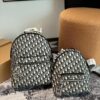 692f12094ecd253cf1078e4f Dior Men's Backpack