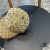 692fad0799f2d84055c86709 LV (Louis Vuitton) New Original Single Baseball Cap, Monogram Patchwork, 1:1 Mold Customized, Authentic Canvas Fabric with Store-Grade Monogram Leather, Heavy Embroidery, Exquisite Craftsmanship
