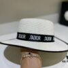 Dior Spring/Summer Ice Silk PP Grass Flat Top Hat 🎩
