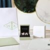 692fc06499f2d84055c881b6 Van Cleef & Arpels Two Butterfly Series Butterfly Mother-of-Pearl Full Diamond Ring