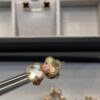 Mini Four-Leaf Clover Gray Shell
