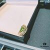 Bvlgari Snake Ring with Peridot - A Luxurious and Fresh Statement Piece