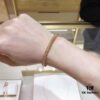 Cartier Nail Element Series