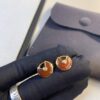 692fd2ba99f2d84055c8a271 Cartier Amulette de Cartier Stud Earrings
