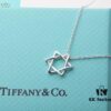 692fd56199f2d84055c8a6ba Tiffany & Co. Six-Pointed Star Necklace, High-End S925 Sterling Silver, Star of David Pendant Necklace