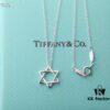 692fd56199f2d84055c8a6bb Tiffany & Co. Six-Pointed Star Necklace, High-End S925 Sterling Silver, Star of David Pendant Necklace
