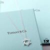 692fd56299f2d84055c8a6be Tiffany & Co. Six-Pointed Star Necklace, High-End S925 Sterling Silver, Star of David Pendant Necklace