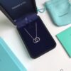 692fd58199f2d84055c8a705 Tiffany & Co. T1837 Double Ring Necklace with Toggle Closure, Fashionable Silver Pendant Inspired by the Brand's Founding Year