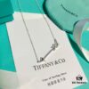692fd5d799f2d84055c8a7a8 Tiffany Heavy Promotion: Choose Any Two Items with Original Packaging, Free Shipping