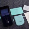 692fd5f399f2d84055c8a7f3 Tiffany 1837 Circle Necklace