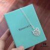 692fd64a99f2d84055c8a8b8 Tiffany 925 Sterling Silver Fresh Style Necklace, Proxy Purchase Level