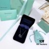 692fd64f99f2d84055c8a8c4 Tiffany Double Ring Necklace with Dual Hoop Pendant Featuring Engraved Founding Year