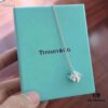 692fd65299f2d84055c8a8ca Tiffany 925 Sterling Silver Fresh Style Necklace, Proxy Purchase Level