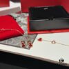 692fdac899f2d84055c8b032 Qeelin Qilin Gourd Red Agate Bracelet and Earrings Set