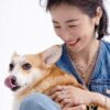 692fdcc699f2d84055c8b368 HEFANG Xiao Hua Corgi Collar Chain, Lightweight Luxury Unique Design Necklace, Qixi Gift (Same Style as Zhou Yutong)