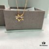 He Fang Meteorite Collarbone Chain