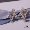 692fdef199f2d84055c8b6c7 He Fang New Shiny Star Stud Earrings