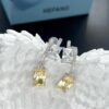692fdf8099f2d84055c8b75f He Fang Aurora Glow Cube Series - Lucky Aurora S925 Silver Earrings