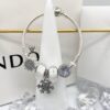 PANDORA Pandora Customer Order Shipping Real Shot