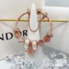 PANDORA Pandora Customer Order Shipping Real Shot