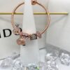 PANDORA Pandora Customer Order Shipping Real Shot