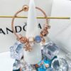 692fe28899f2d84055c8bce0 PANDORA Pandora Customer Order Shipping Actual Photos