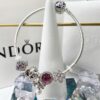 692fe29399f2d84055c8bcf4 PANDORA Pandora Custom Order Real Photos of Shipment
