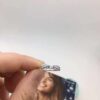 PANDORA [New Arrival] 1:1 Angel Wings Collection
