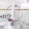 692fe5b499f2d84055c8c2f2 PANDORA Pandora Customer Order Shipping Real Shot