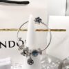 692fe5b599f2d84055c8c2f3 PANDORA Pandora Customer Order Shipping Real Shot