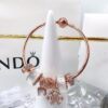 692fe5b999f2d84055c8c2fa PANDORA Pandora Customer Order Shipping Real Shot