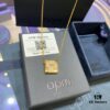 692fe8df99f2d84055c8c847 A Family Monaco New Arrival Square Guardian Leo Necklace for Women, Minimalist Boutique Little Lion Collarbone Chain