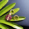 692fe98b99f2d84055c8c9a3 A-Home Monaco Golden Asymmetric Ladybug Earrings for Women, Elegant French-style Jewelry, Stylish and Unique Drop Earrings