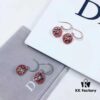 692ff76f99f2d84055c8e0e7 Dior Luxury Jewelry Rose Compass Eight-Pointed Star Stud Earrings - Exquisite Compass Rose Design, S925 Sterling Silver with Natural Turquoise, White Mother of Pearl, and Red Agate