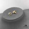 Dior In Stock New Arrival Set