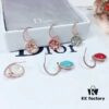 692ff78299f2d84055c8e110 Dior Luxury Jewelry Rose Compass Eight-Pointed Star Stud Earrings - Exquisite Compass Rose Design, S925 Sterling Silver with Natural Turquoise, White Mother of Pearl, and Red Agate