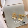 692ff78599f2d84055c8e117 Dior Christmas Set: Necklace, Bracelet, and Stud Earrings (Original Packaging, Free Shipping)