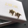 Dior In-Stock Style Stud Earrings