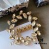 692ff7ca99f2d84055c8e19a Dior Vintage Teardrop Brooch