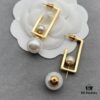 Dior Earrings, Irregular Style, Unique Design, Definitely Beautiful, Worth Buying