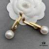 Dior Earrings, Irregular Style, Unique Design, Definitely Beautiful, Worth Buying