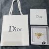 692ff87499f2d84055c8e29c Dior Heart and Star Hair Clip, Exuding Delicate Elegance, Showcasing Outstanding Charm, Smooth Hardware Paired with Red Dot Heart is Perfect!