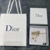 692ff8bd99f2d84055c8e313 Bee-inspired Dior-style Tassel Drop Hair Clip, Brass Material